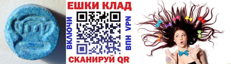 ЭКСТАЗИ Punisher  Купить закладки  Жуков 