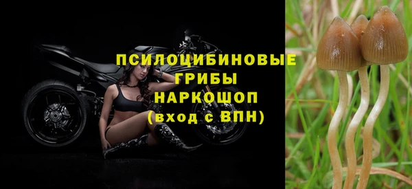 ПСИЛОЦИБИНОВЫЕ ГРИБЫ Киренск