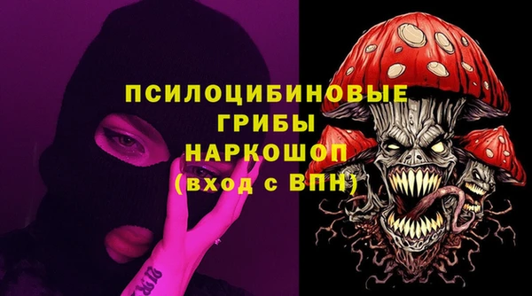 ПСИЛОЦИБИНОВЫЕ ГРИБЫ Киренск