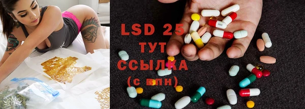 ПСИЛОЦИБИНОВЫЕ ГРИБЫ Киренск
