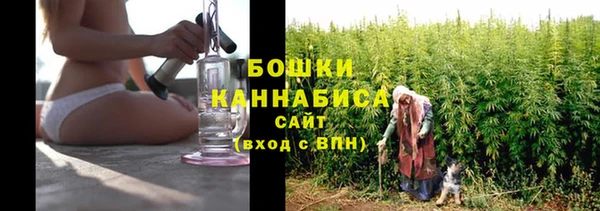 ПСИЛОЦИБИНОВЫЕ ГРИБЫ Киренск