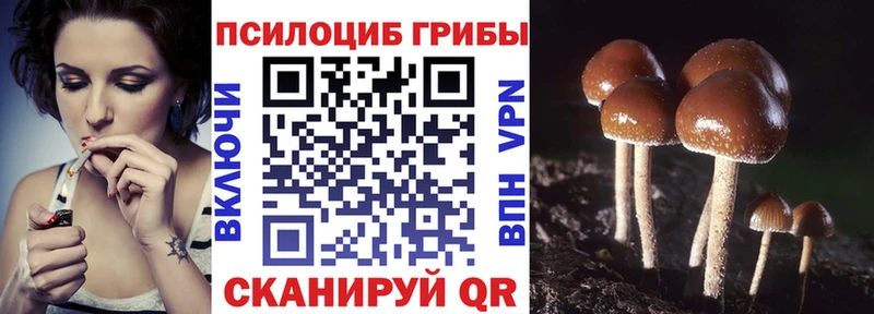 Псилоцибиновые грибы GOLDEN TEACHER Жуков